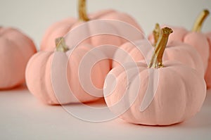 Blush pink pumpkins with gold stems on solid color background with copy space.