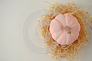 Blush pink pumpkins with gold stems on solid color background with copy space.