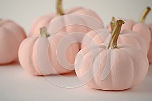 Blush pink pumpkins with gold stems on solid color background with copy space.