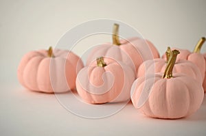 Blush pink pumpkins with gold stems on solid color background with copy space. photo