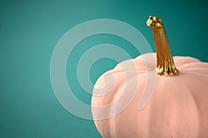Blush pink pumpkins with gold stems on solid tealcolor background with copy space.
