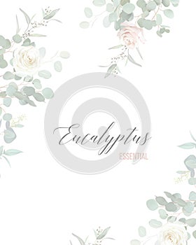 Blush pink rose flowers and mint eucalyptus vector frame. Hand painted branches, leaves on white background