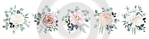 Blush pink rose, ranunculus, camellia, ivory magnolia flowers, eucalyptus, fern vector design bouquets