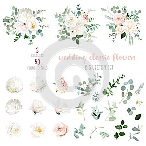 Blush pink rose and sage greenery, ivory peony, magnolia, beige dahlia, ranunculus flowers, eucalyptus vector collection