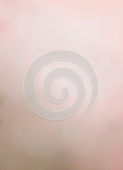 Blush Pink Soft Pastel Studio Background