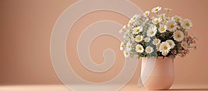 Blush pink vase with white daisies on table and peach color empty wall with copy space. Boho background.