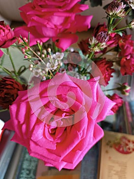 The blush red color of the roses adds to the beauty of the flower vase photo