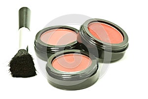 Blusher and brush