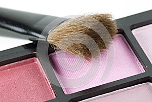 Blusher and brush