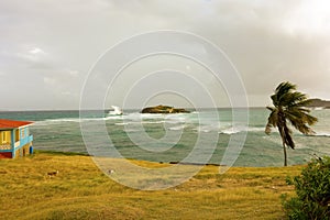 A blustery day in the caribbean