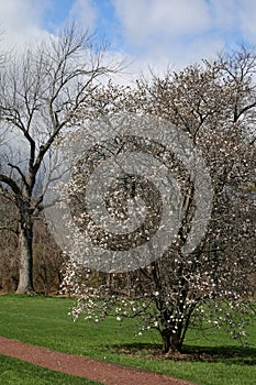 This is a blustery winter day at the park.