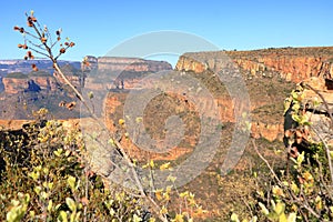 Blyde River Canyon and The Three Rondavels Three Sisters in Mpumalanga, South Africa. The Blyde River Canyon is the third