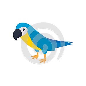 Blye brazil parrot icon, isometric 3d style