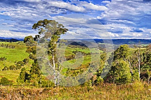 BM Lake Lyell Country Sunlight