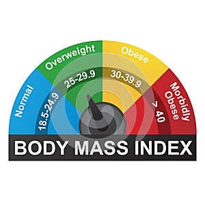 BMI or Body Mass Index Infographic Chart