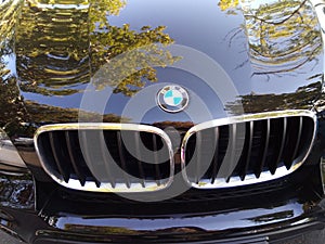 BMW front logo