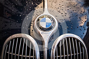 BMW logo on the hood