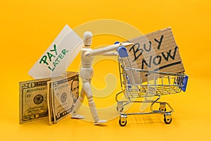 BNPL Buy now pay later online shopping concept