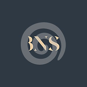 BNS abstract letter logo