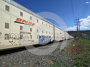 BNSF railroad cars with graffiti.