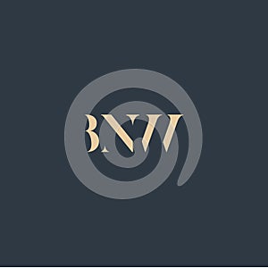 BNW abstract letter logo
