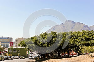 Bo-Kaap district with the Table Mountain National Park Panorama