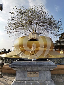 The Bo Tree of Nelligala Temple photo