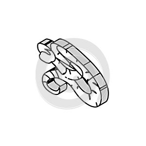 boa constrictor animal snake isometric icon vector illustration
