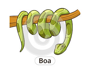 Boa snake cartoon vector illustration photo