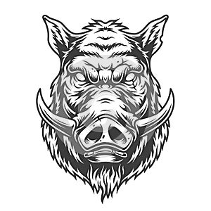 Boar head in black and white color style