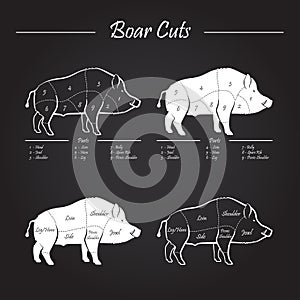 Boar meat cut diagram - elements blackboard