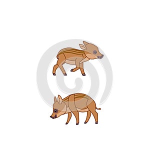 Boar pigs cartoon character. Cute piglets together. Baby pigs in cute posture. Vector illustration isolated on white
