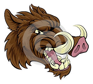 Boar Sports Mascot photo