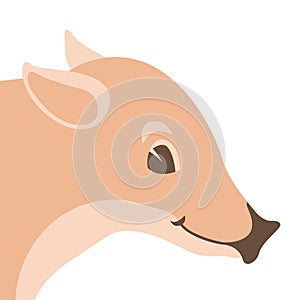 Boar wild head face vector illustration flat