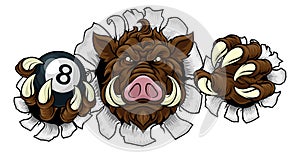 Boar Wild Hog Razorback Warthog Pig Pool Mascot