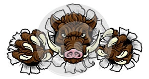 Boar Wild Hog Razorback Warthog Pig Sports Mascot