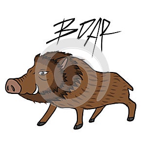 Boar wild pig cartoon  illustration