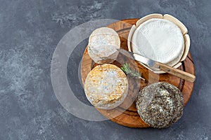 Board of Corsican specialities, varity of goat and sheep cheese with mimosa flower, on a grey slate background