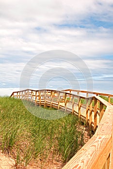 Board path way leading to beach