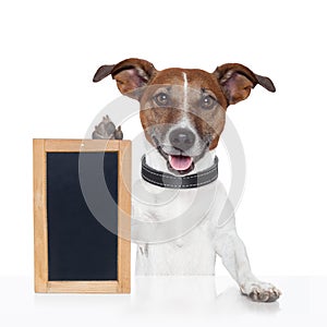 Board placeholder banner dog