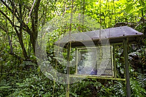 The board stands firmly as a symbol to explain what information is in the forest