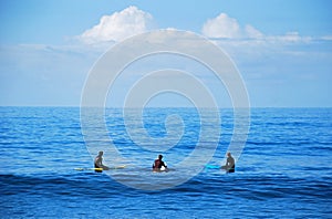 Board surfers waiting for a wave in Laguna Beach, California.