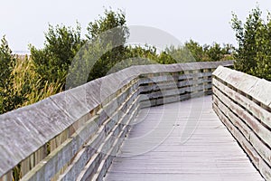 Board walk photo