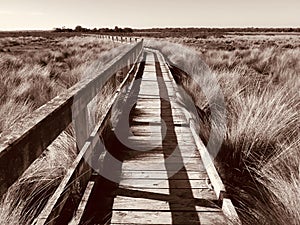 Board walk, Mcloughlins Beach, Victoria, Australia