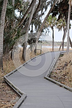 The board walk at Myakka for safe access for visitors