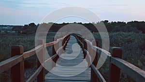 Board walk through the tall grass to the beach