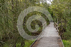 Welcome Board Walk