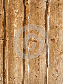 Board wall vertical soft wood