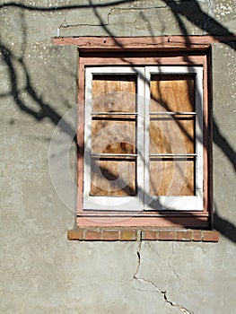 Boarded Shut Building Window with Tree Shadow.