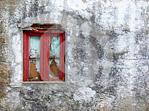 Boarded up window of old, abandoned house with peeling paint and moldy walls.